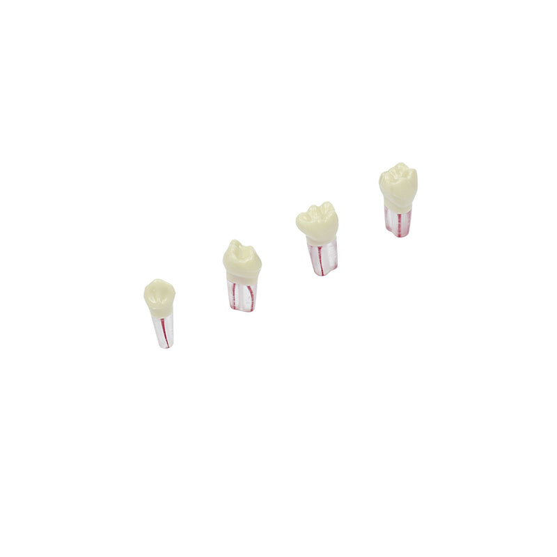 Milchzähne <br> Endodontie <br> AK-6/2 & AK-6 ZPUF