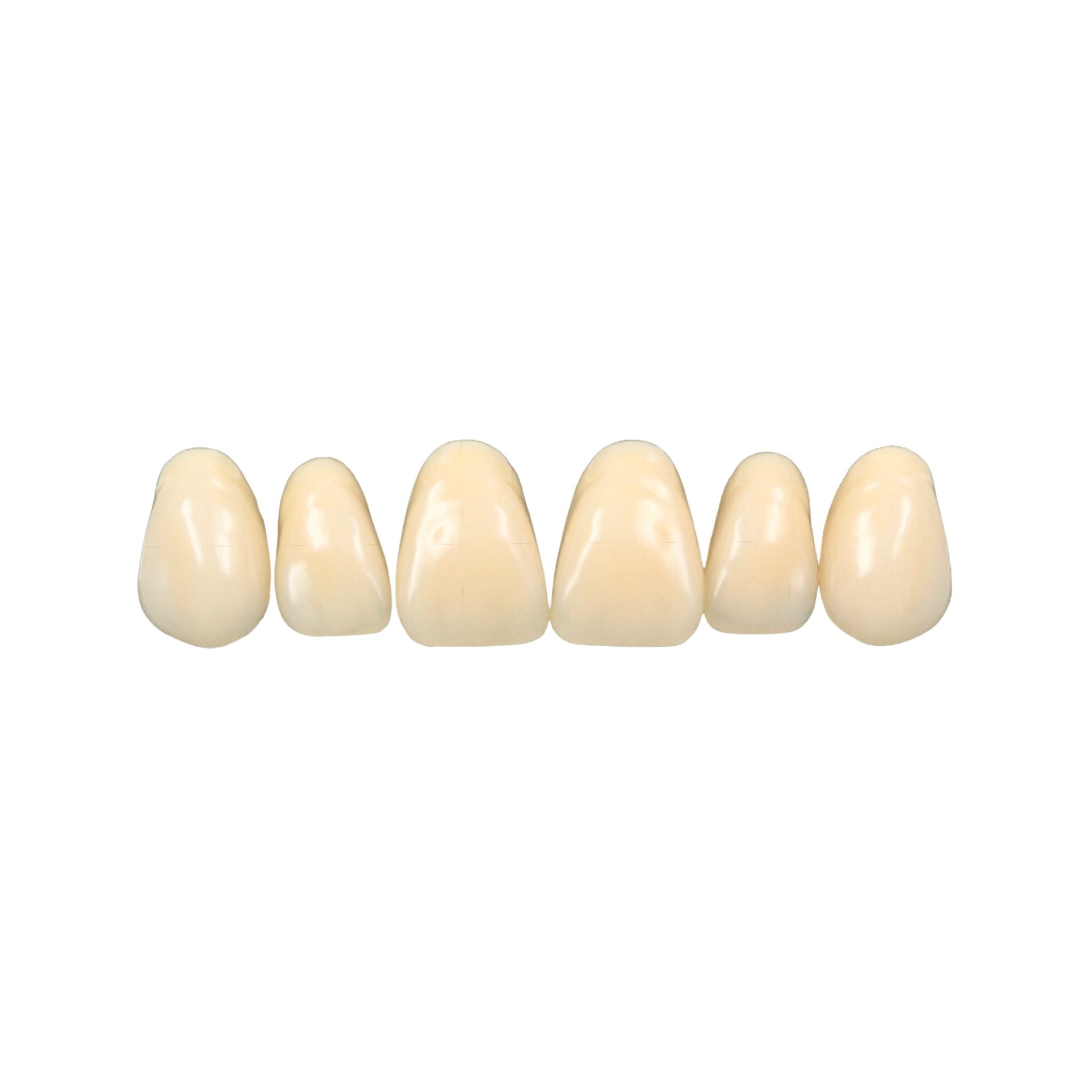 Prothesenzähne <br> INKA Teeth