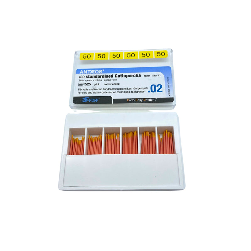 Guttaperchastift <br> Antaeos