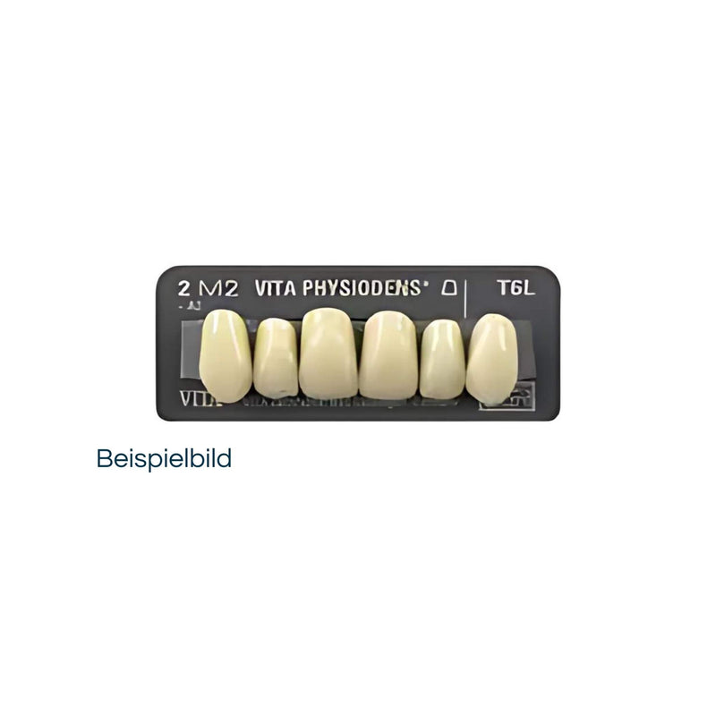 VITA Physiodens front teeth<br> L7L