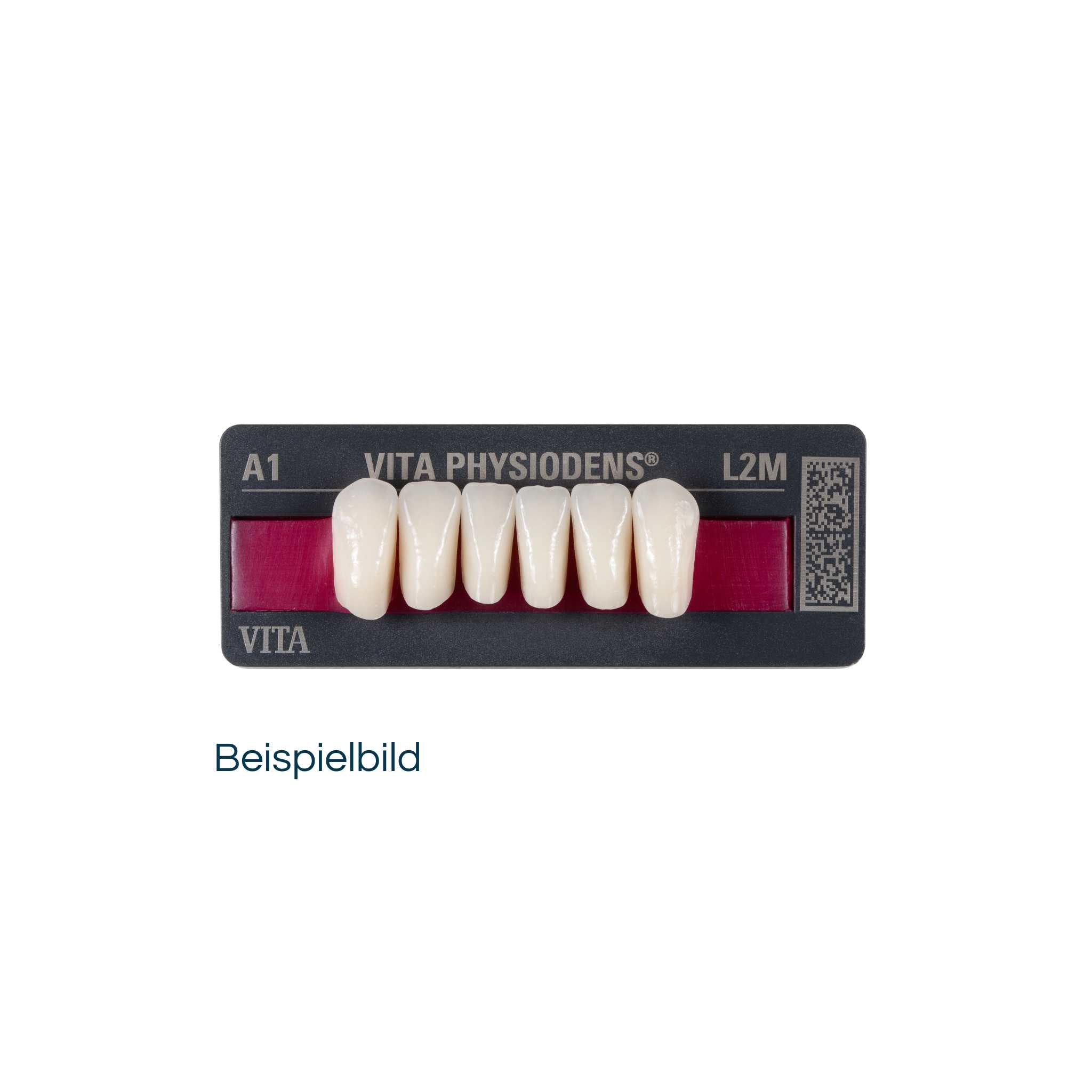 VITA Physiodens front teeth<br> L7L