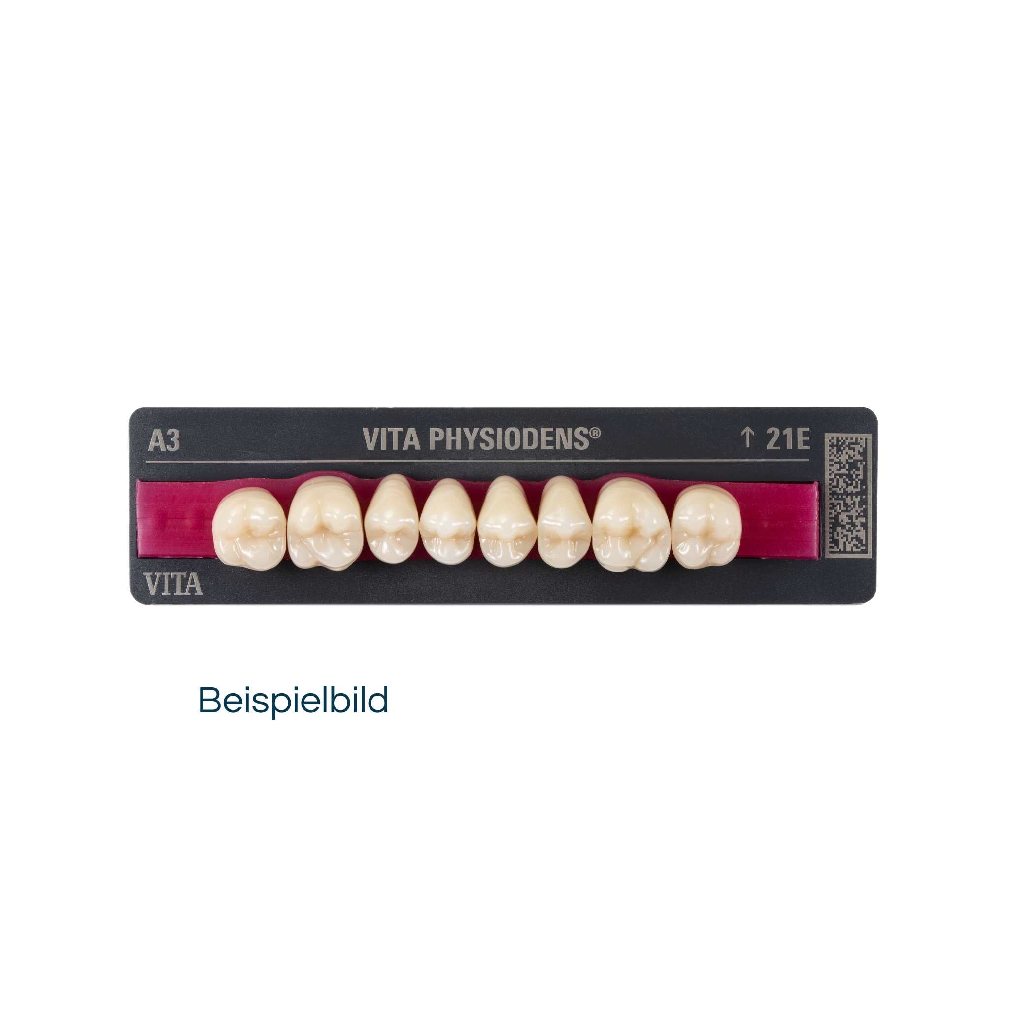 Vita Physiodens Posterior Tooth<br> Classic Form 23E OK | Color A2