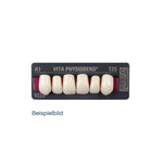 VITA Physiodens front teeth<br> T4M