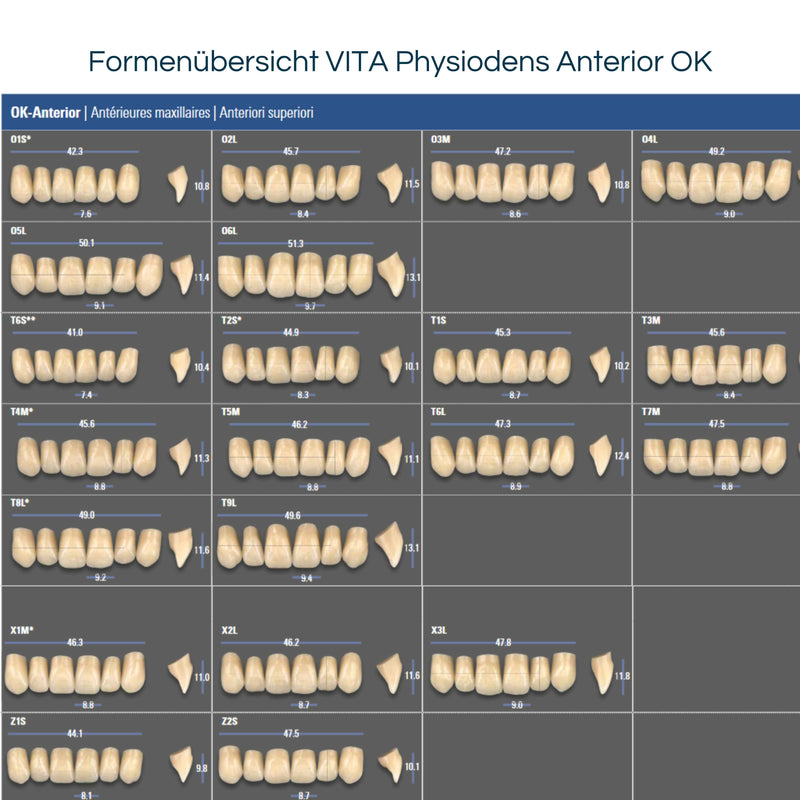 VITA PHYSIODENS <br> Frontzähne (OK / UK)