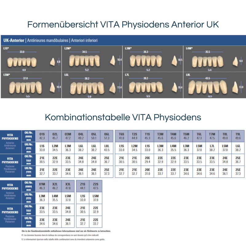 VITA PHYSIODENS <br> Frontzähne (OK / UK)