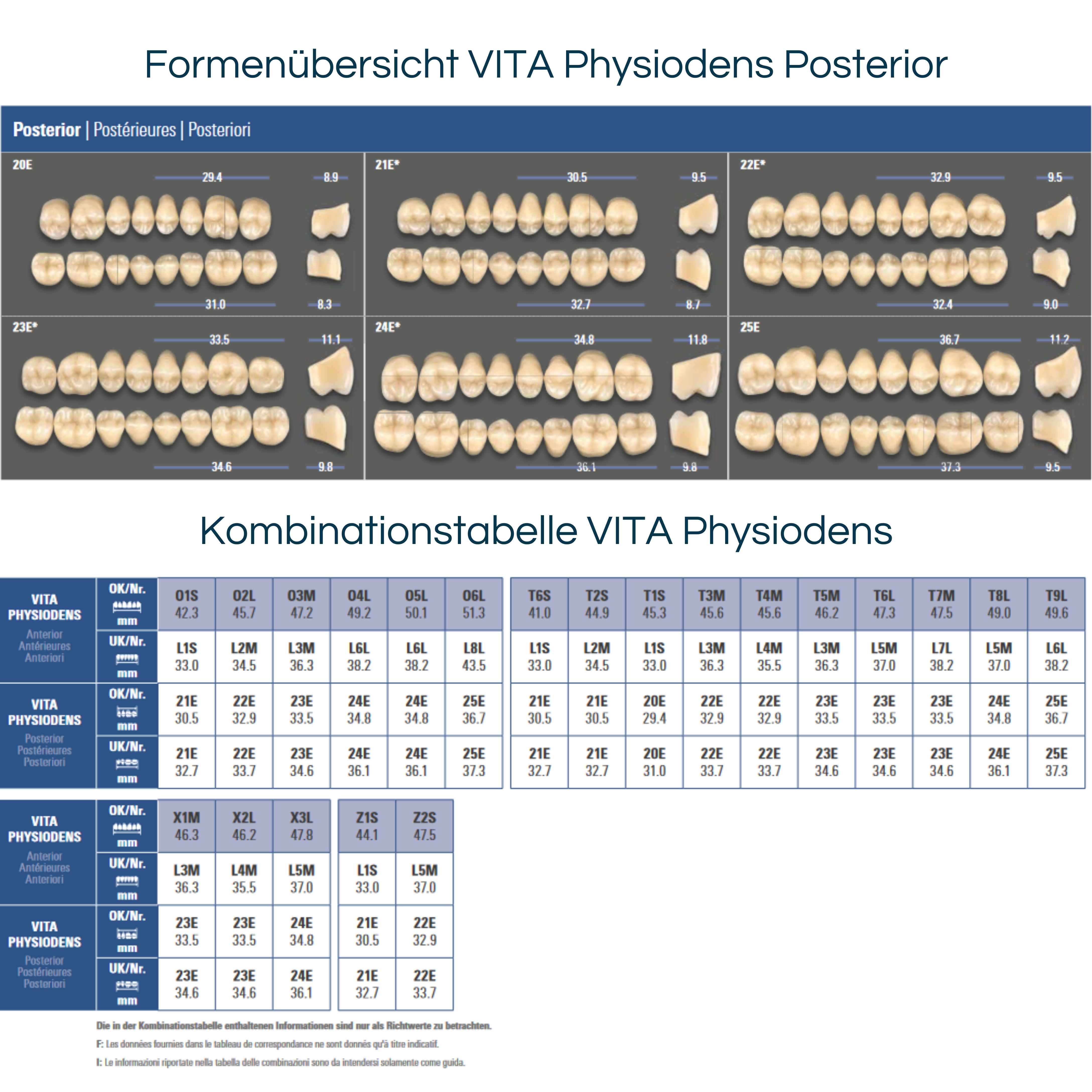 VITA PHYSIODENS <br> Seitenzähne