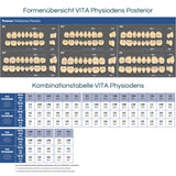 Vita Physiodens Posterior Tooth<br> Classic Form 23E OK | Color A2