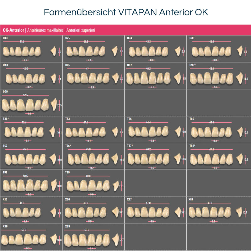 VITAPAN Anterior <br> Frontzähne (OK / UK)