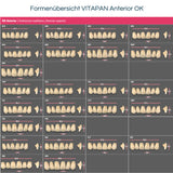 VITAPAN Anterior <br> Frontzähne (OK / UK)