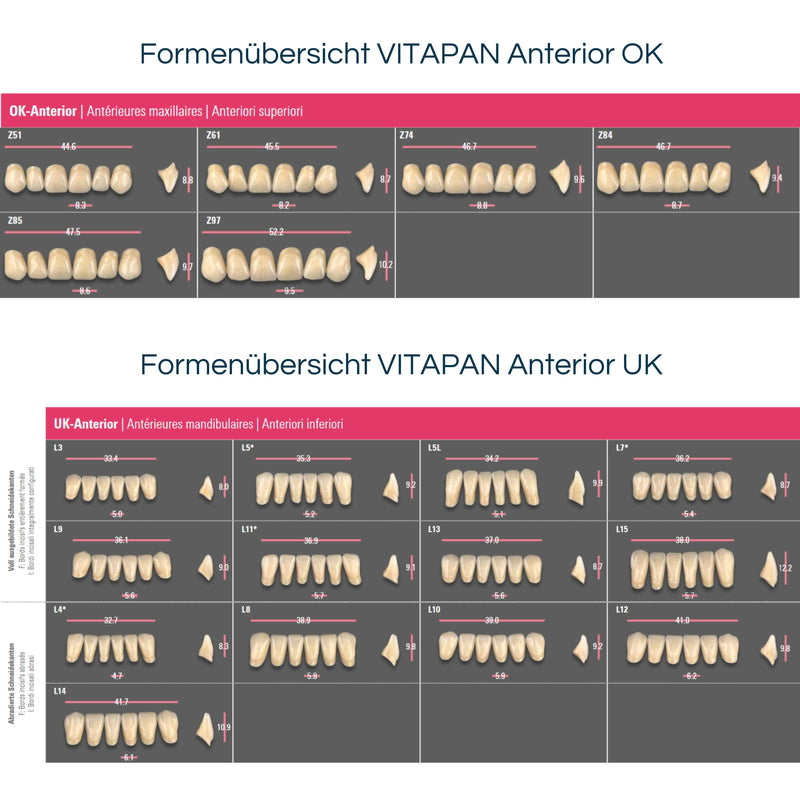 VITAPAN Anterior <br> Frontzähne (OK / UK)