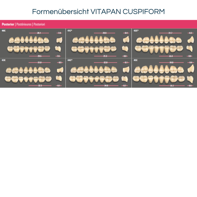 VITAPAN CUSPIFORM<br> Seitenzähne (OK / UK)