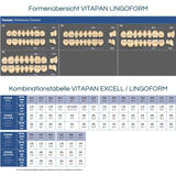 VITA Lingoform<br> 22L OK