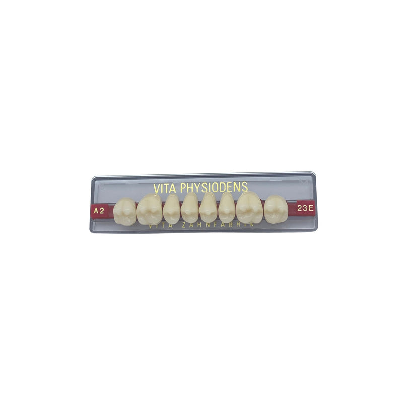 Vita Physiodens Posterior Tooth<br> Classic Form 23E OK | Color A2