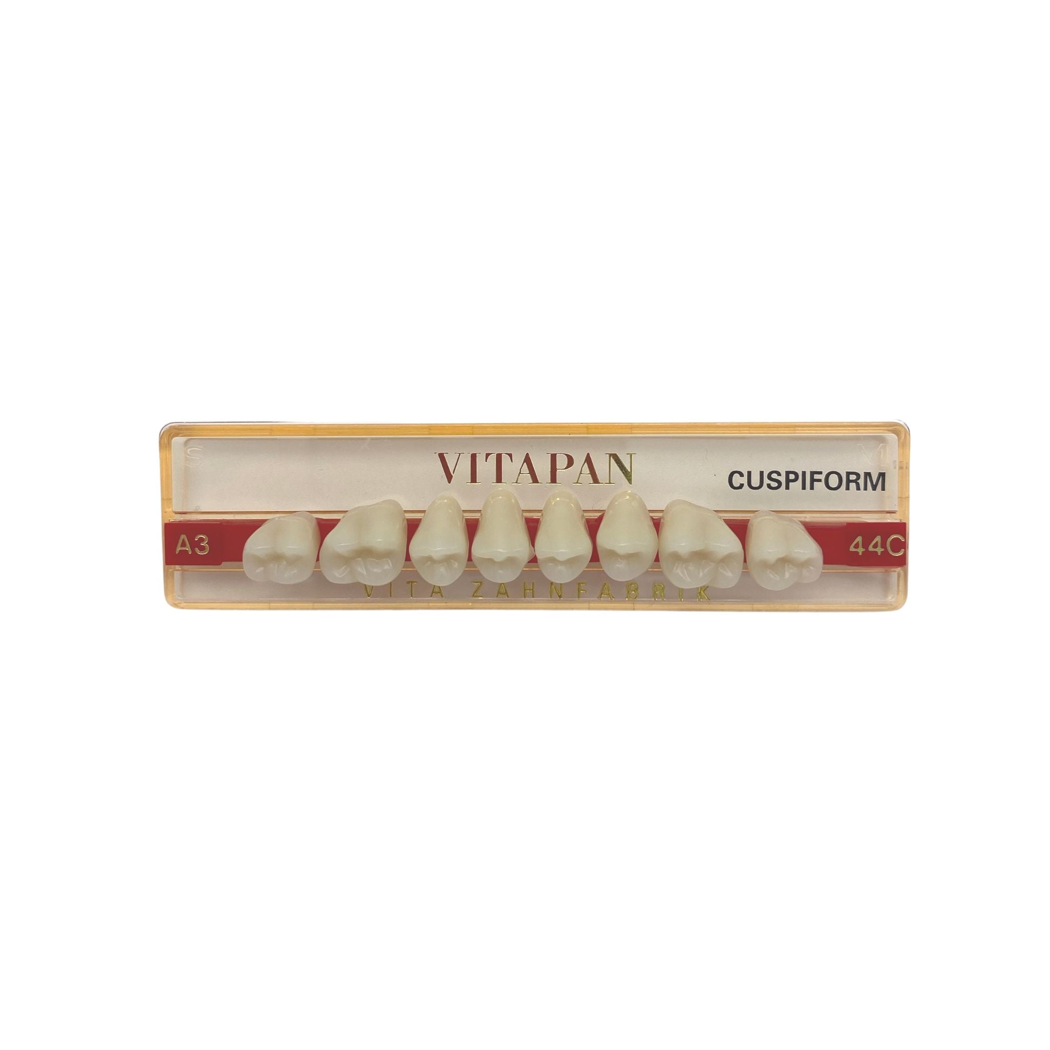 VITAPan Posterior Tooth<br> Form 44C OK | Colour A3