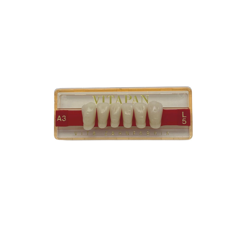VITAPan anterior tooth form L5 UK | Color A3