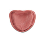 Zahnmodell <br> für Totalprothetik und Implantologie mit weicher Gingiva
