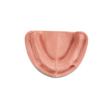 Zahnmodell <br> für Totalprothetik und Implantologie mit weicher Gingiva